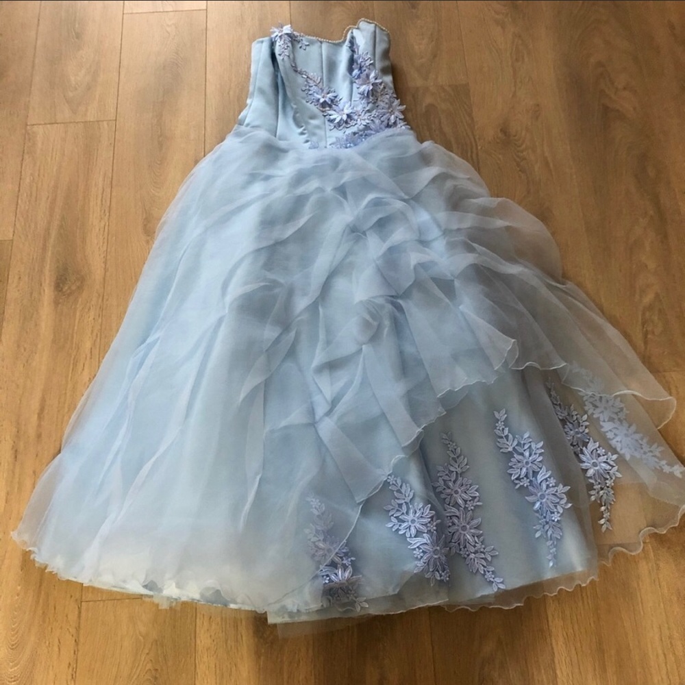 Vintage Cinderella Princess Gown